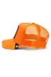 Sapka GOORIN BROS. Pitbull orange