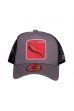 Sapka FREEGUN Salsa Trucker grey